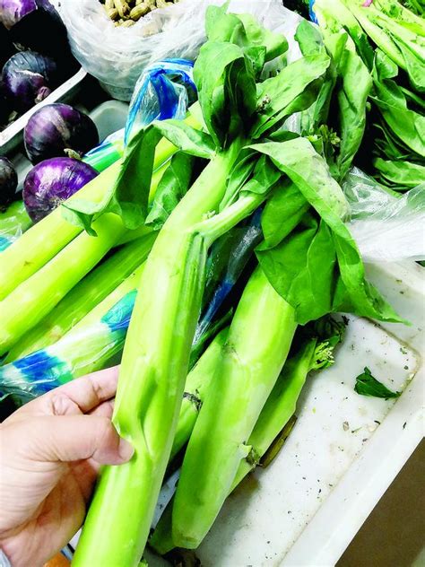 芥 藍 菜花 可以 吃 嗎